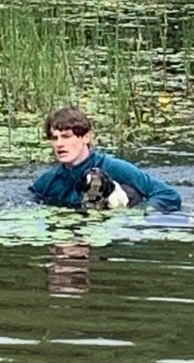 Teenager Springt In Einen Fluss Um Hund Vor Dem Ertrinken Zu Retten